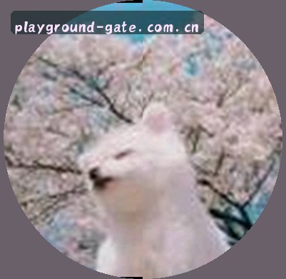陈先生